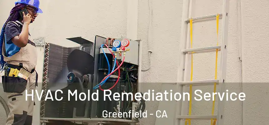  HVAC Mold Remediation Service Greenfield - CA