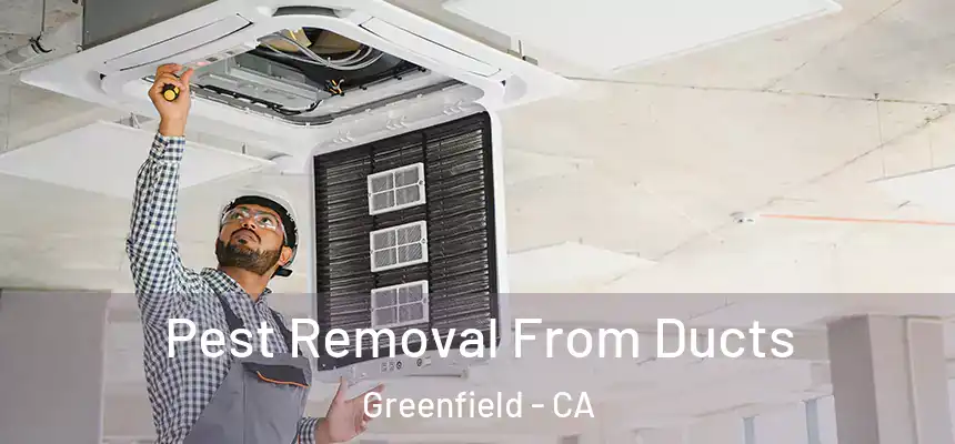  Pest Removal From Ducts Greenfield - CA