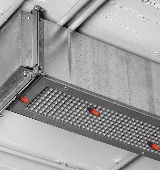Affordable Insect Removal from Air Ducts in Greenfield, CA