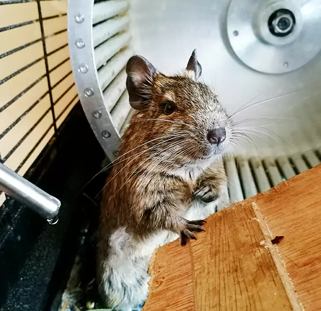 Why Homeowners & Businesses Trust Us Greenfield, CA?