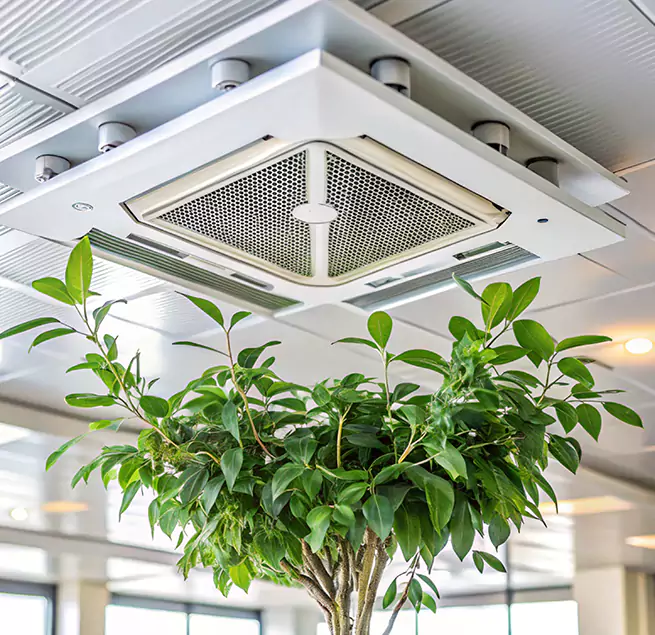 Why Homeowners & Businesses Trust Us in Greenfield, CA?