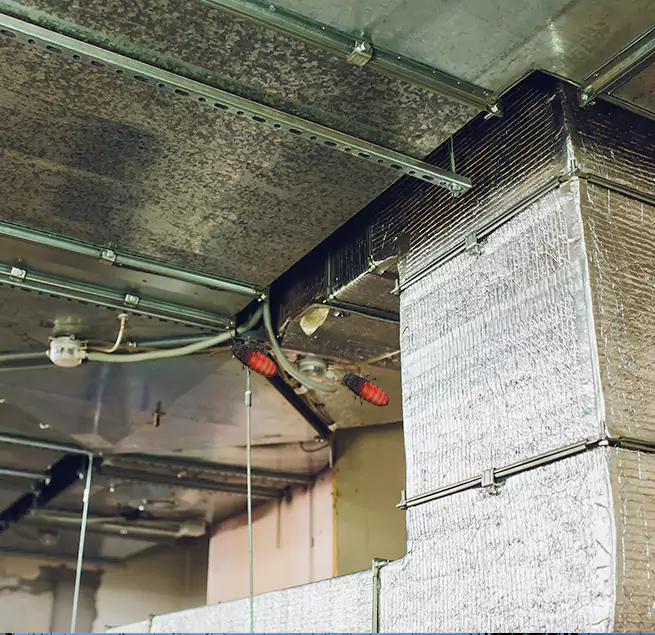 Why Homeowners & Businesses Trust Us Greenfield, CA?